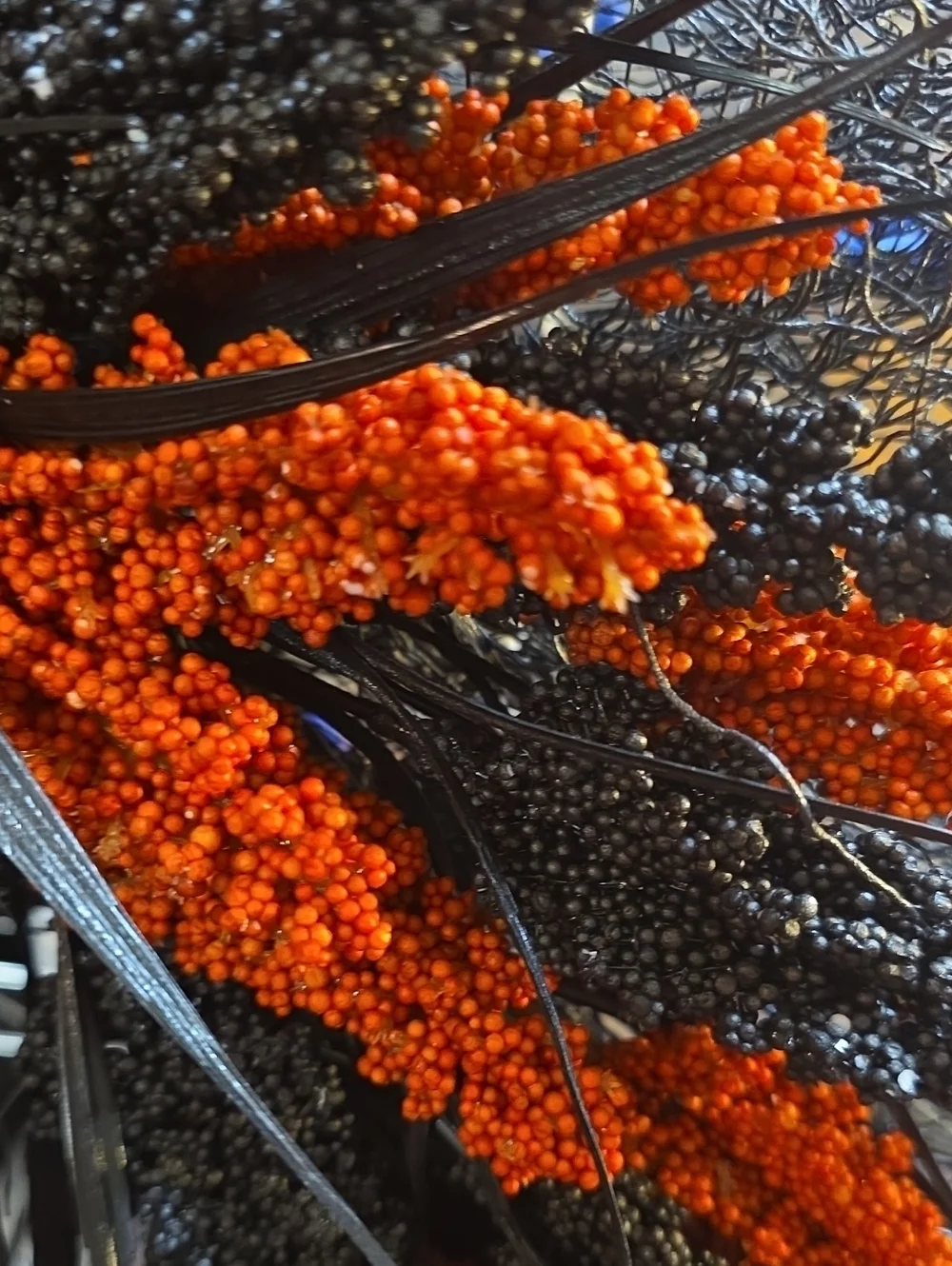 HALLLOWEEN BLACK AND ORANGE WREATH